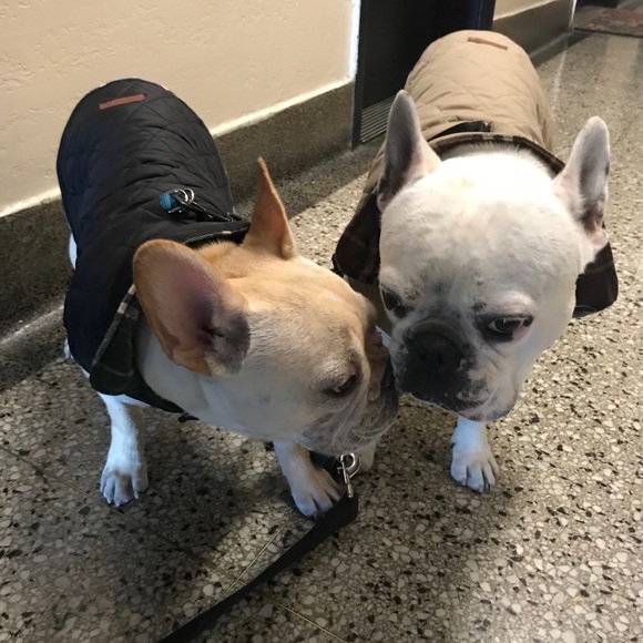 Meet your Posher 😊 - Picture 2 of 8